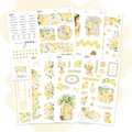 June Monthly Decorative Collection